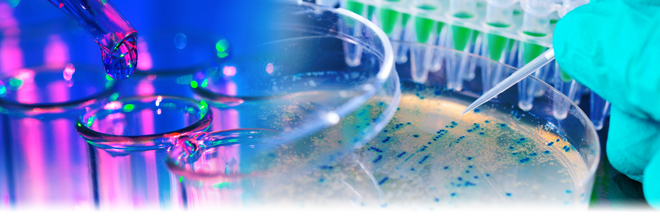 Laboratory Testing Service Details